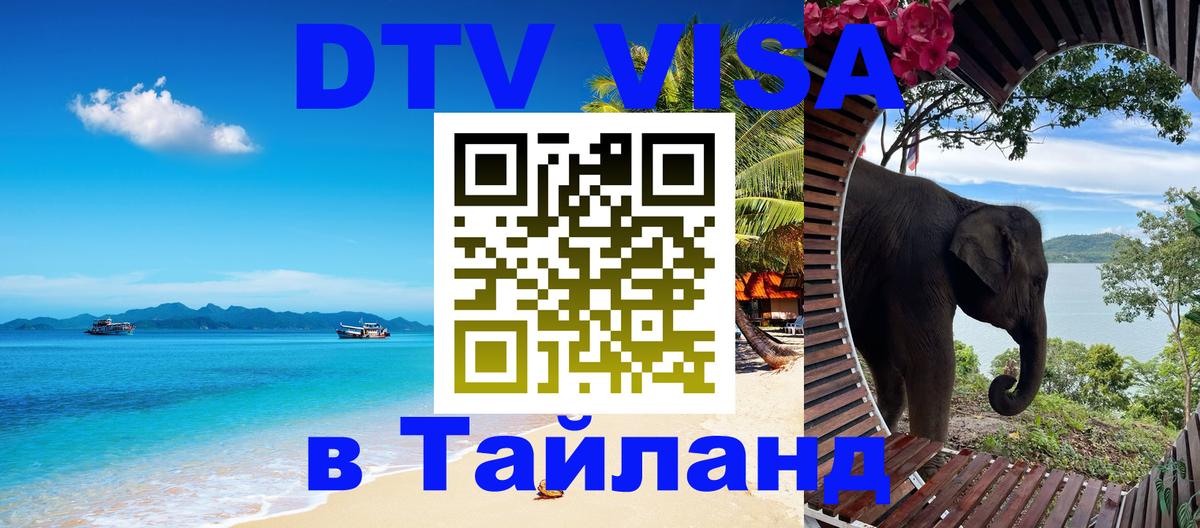 Оформление DTV визы под ключ: стоимость и тарифы, только загранпаспорт - 